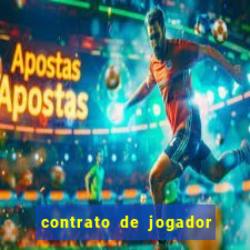 contrato de jogador de futebol word